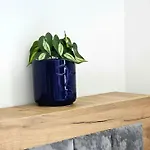 Blue Studio, Modern & Beachfront - By Beta Premium * ゴーレム