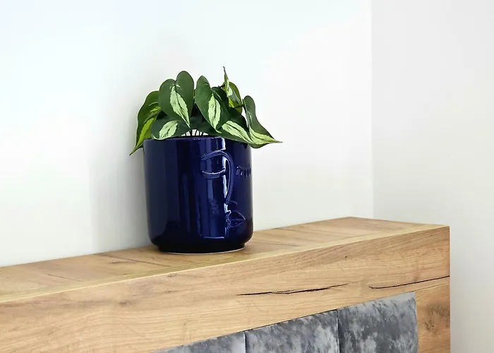 Blue Studio, Modern & Beachfront - By Beta Premium * Golem (Tirana)